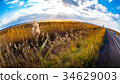 Hokkaido Road trip,Abashiri City during Autumn 34629003