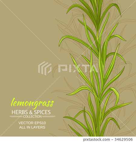 lemongrass vector background 34629506
