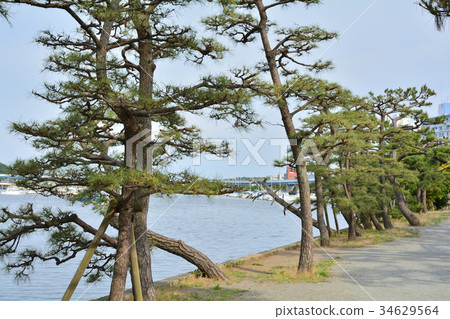 Yokohama · Kashiwajima Benzaiten (Kanazawa Hakkei) Yokohama · Kashiwajima Benzaiten (Kanazawa Hakkei) 34629564