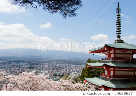 Chureito pagoda and cherry blossom and mount fuji 34629637