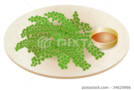 海洋葡萄 海洋葡萄 34629966