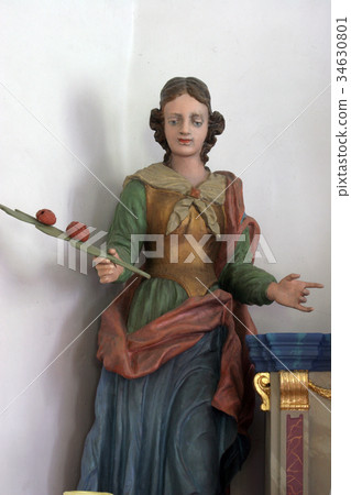 Saint Rosalia 34630801