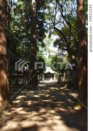 Chigasaki-shi Kusukare Shrine 34631243