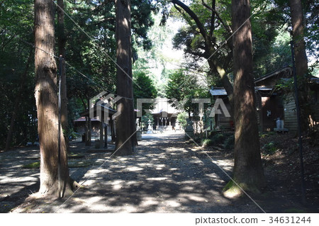Chigasaki-shi Kusukare Shrine 34631244