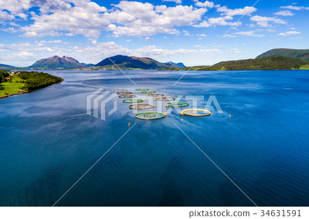 Farm salmon fishing Aerial FPV drone photography. 34631591