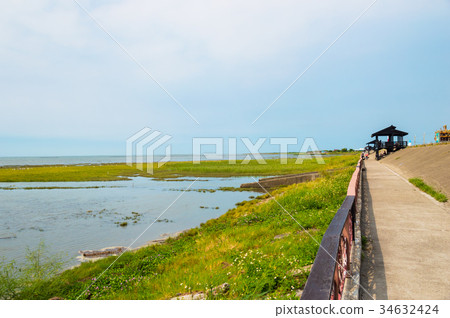 台灣拓巳濕地 34632424