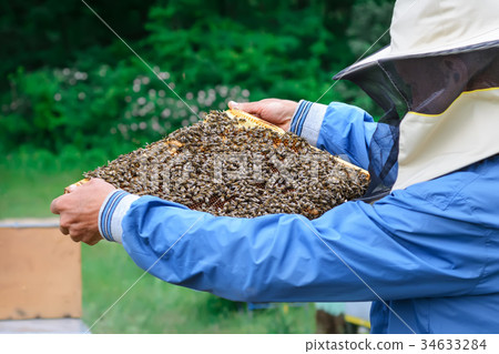 The beekeeper works with bees near the hives 34633284