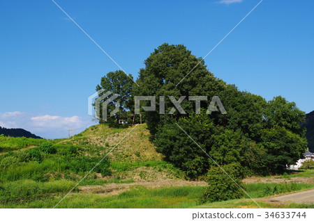 Chausuyama Shibata Kofun 34633744