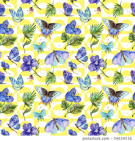 Exotic butterfly wild insect and tropical leaf 34634516