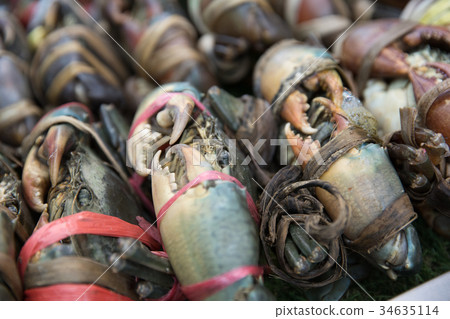 fresh serrated mud crabs in the market fresh serrated mud crabs in the market 34635114
