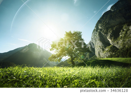 Idyllic landscape in the Alps, Switzerland Idyllic landscape in the Alps, Switzerland 34636128