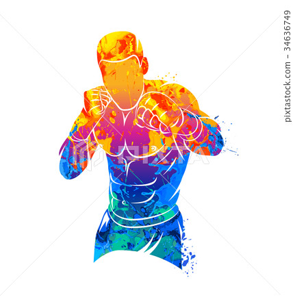 Mixed Martial Art 34636749