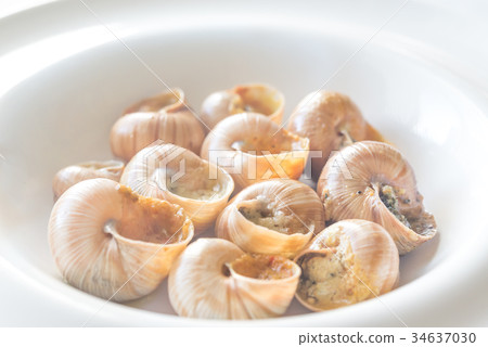 Portion of cooked snails 34637030
