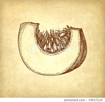 Ink sketch of pumpkin piece Ink sketch of pumpkin piece 34637228