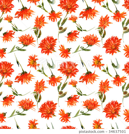 Romantic watercolor nasturtium flowers pattern Romantic watercolor nasturtium flowers pattern 34637501