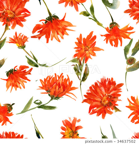 Romantic watercolor nasturtium flowers pattern Romantic watercolor nasturtium flowers pattern 34637502