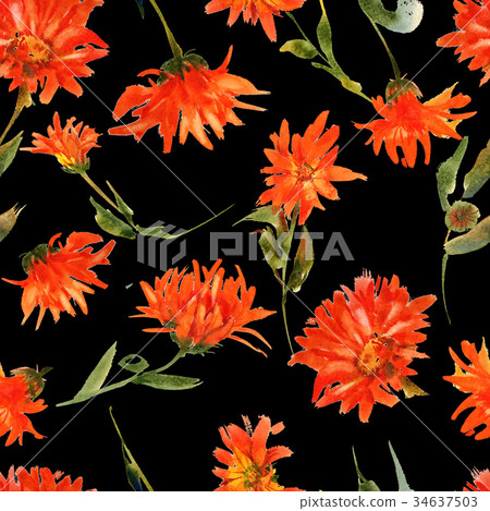Romantic watercolor nasturtium flowers pattern Romantic watercolor nasturtium flowers pattern 34637503