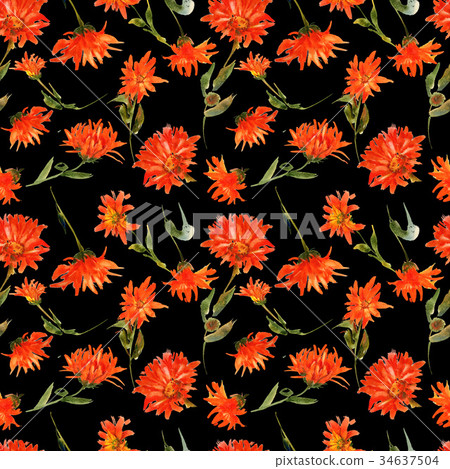 Romantic watercolor nasturtium flowers pattern Romantic watercolor nasturtium flowers pattern 34637504