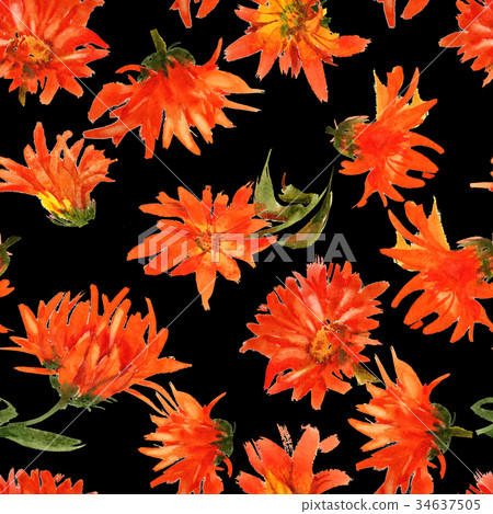 Romantic watercolor nasturtium flowers pattern Romantic watercolor nasturtium flowers pattern 34637505