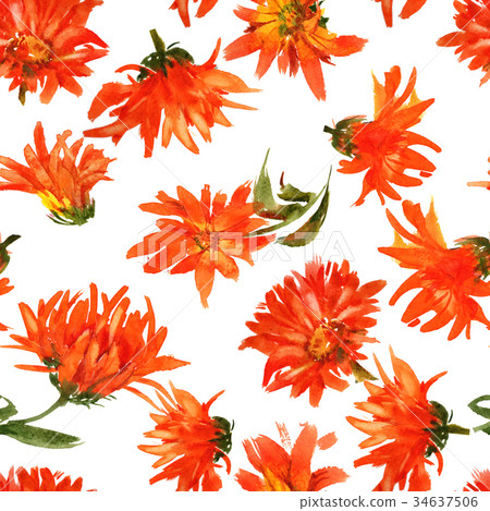 Romantic watercolor nasturtium flowers pattern Romantic watercolor nasturtium flowers pattern 34637506