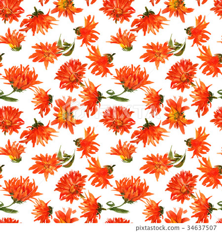 Romantic watercolor nasturtium flowers pattern Romantic watercolor nasturtium flowers pattern 34637507