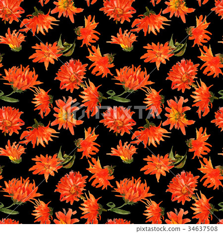Romantic watercolor nasturtium flowers pattern Romantic watercolor nasturtium flowers pattern 34637508