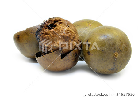 Lo Han Guo, Monk or Buddha fruit Lo Han Guo, Monk or Buddha fruit 34637636
