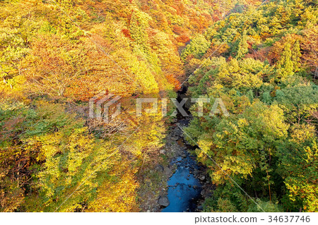 Mizugaki Lake (October Autumn leaves Hokuto City) Mizugaki Lake (October Autumn leaves Hokuto City) 34637746