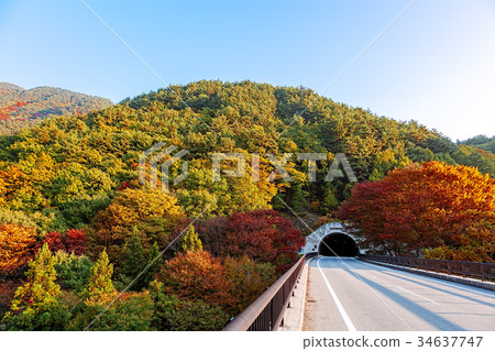 Mizugaki Lake (October Autumn leaves Hokuto City) 34637747