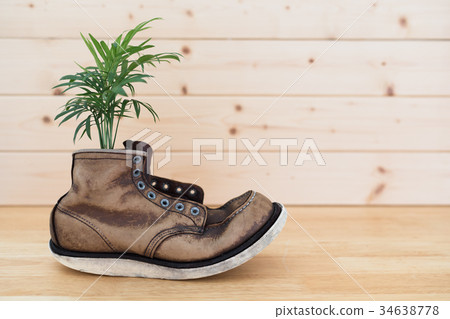 復古皮靴和植物背景材料 復古皮靴和植物背景材料 34638778