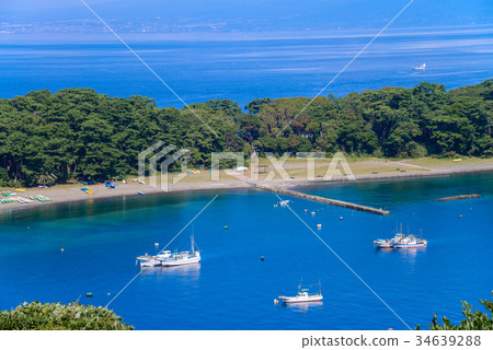 [Shizuoka Prefecture] Cape Mihama, Nishiizu Toda, autumn 34639288