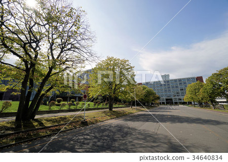 札幌大學校園風景（札幌市豐岡區西岡） 34640834