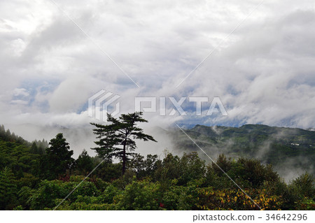 水稻梯田 34642296