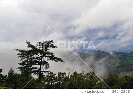 Rice terraces Rice terraces 34642298