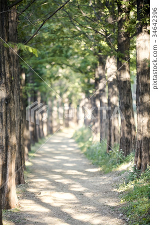 Trail，Metasequire，World Cup Park，Sangam-dong，Mapo-gu，Seoul 34642396