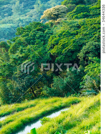 Taipei Shimen Terrace 34644386