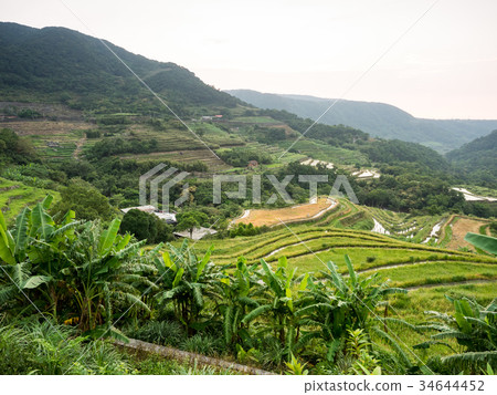 Taipei Shimen Terrace 34644452