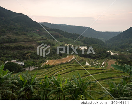 石門梯田 34644524