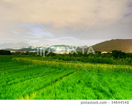 Guandu Plain under the night Guandu Plain under the night 34644548