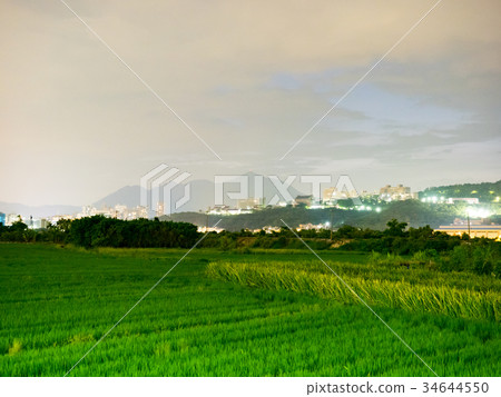 夜晚下的關渡平原 夜晚下的關渡平原 34644550