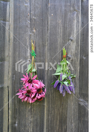 medical herbs bunch, anise hyssop and coneflower 34645678