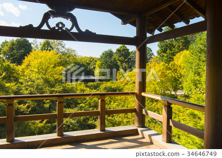 Tofukuji Tsutenbashi在秋天 Tofukuji Tsutenbashi在秋天 34646749