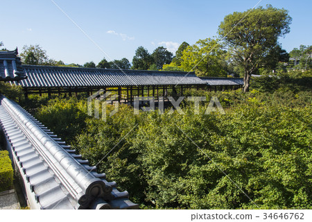 Tofukuji Tsutenbashi in autumn 34646762