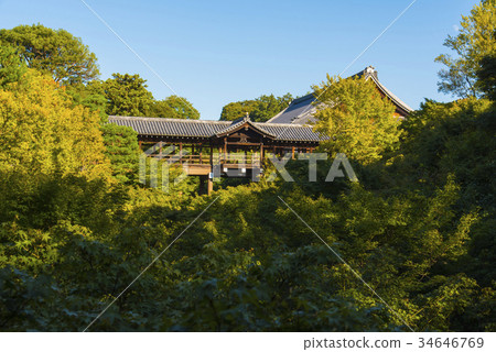 Tofukuji Tsutenbashi 34646769
