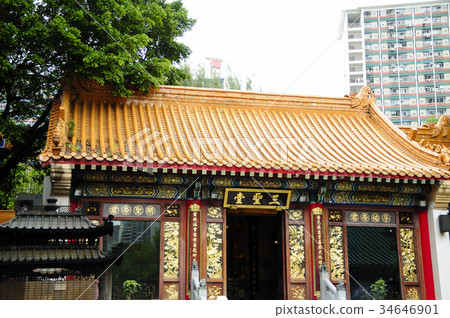 94443 Yellow Daisen Rong Hong Kong 94443 Yellow Daisen Rong Hong Kong 34646901