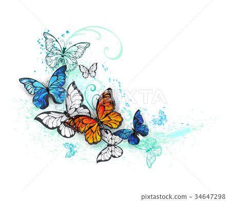 Artistic Morpho and monarchs 34647298