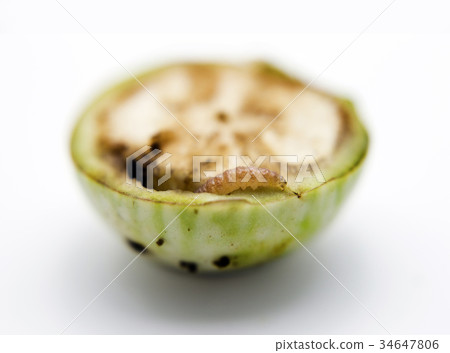 warm eating eggplant on white warm eating eggplant on white 34647806