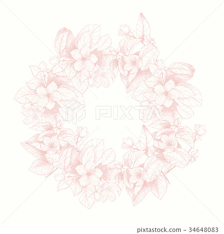 Vintage vector card with detailed frame of garden Vintage vector card with detailed frame of garden 34648083