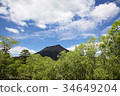 Forest 34649204