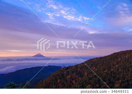 [Yamanashi Prefecture] Kokushigatake, autumn colors, Mt. Fuji, dawn 34649351
